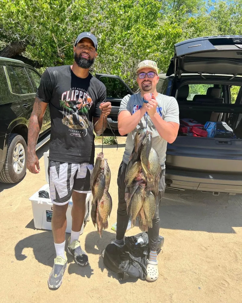 篮板能力和 篮板能力和